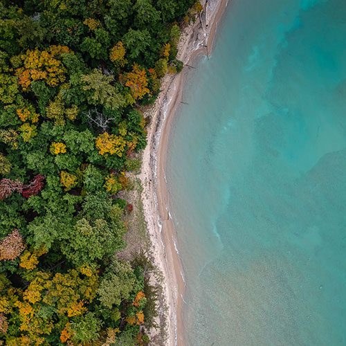 A beach with trees and water in the background