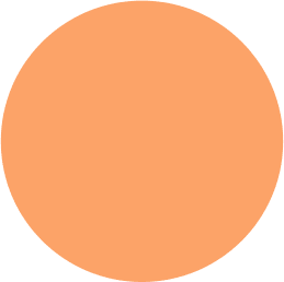A large orange circle is shown in this image.