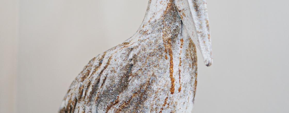 A close up of the back end of an animal.