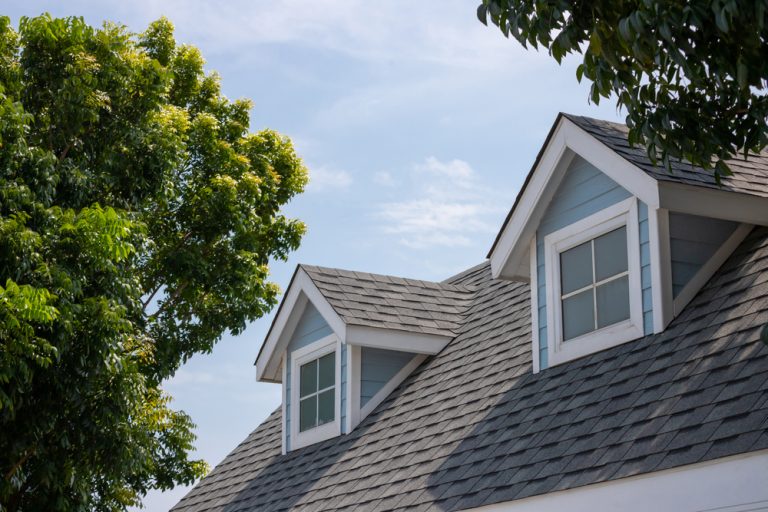 Roofline with windows and green trees.